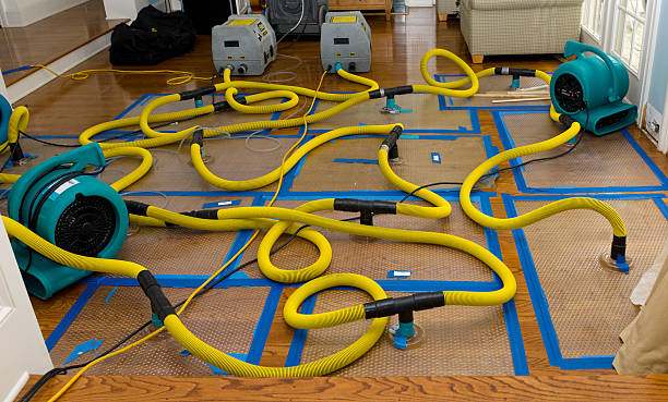Professional Sewage Cleanup technician working in Lenzburg, IL
